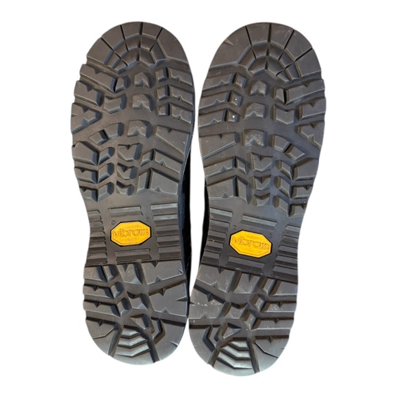 Danner Fort Lewis 10\